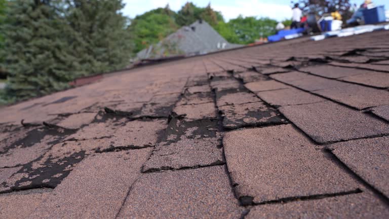 Emergency Roof Repair Services in Avon By The Sea, NJ